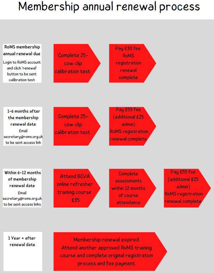 roms flowchart